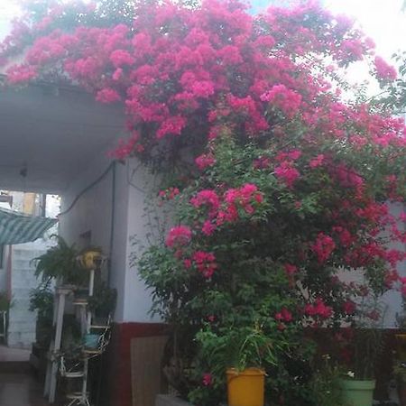 Casa Huespedes Lolita Chihuahua Exterior photo