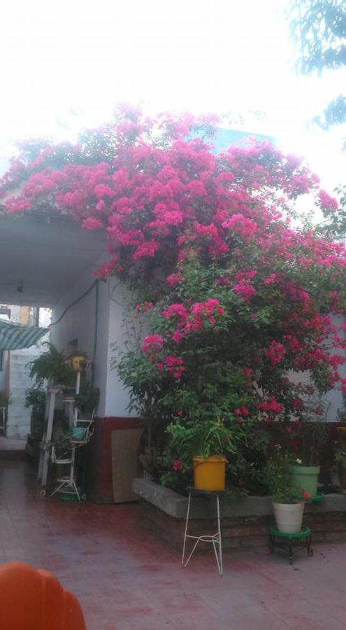 Casa Huespedes Lolita Chihuahua Exterior photo